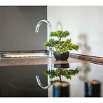 Olive Tree Apartman *