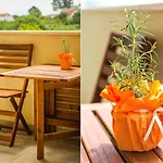 Olive Tree Apartman *