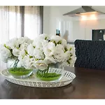 Apartamento Olive Tree