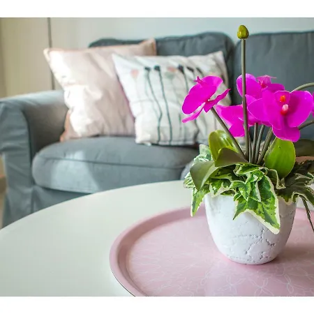 Appartement Olive Tree *