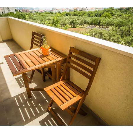 Olive Tree * 斯普利特