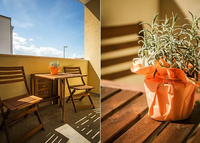 Apartment Olive Tree