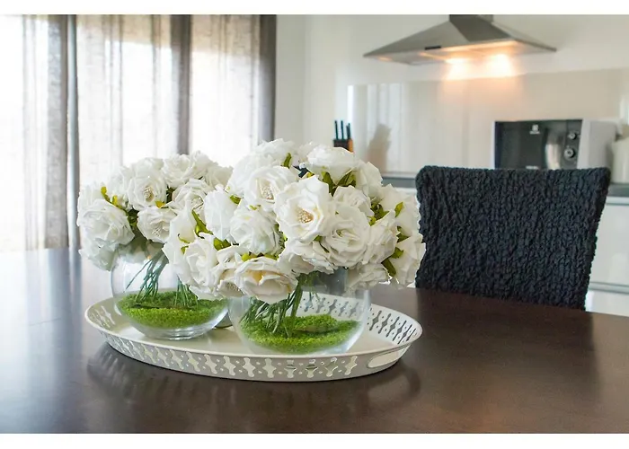 Apartment Olive Tree