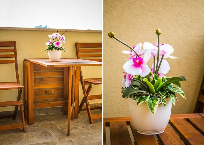 Apartment Olive Tree *