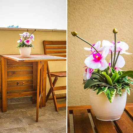 Apartamento Olive Tree *