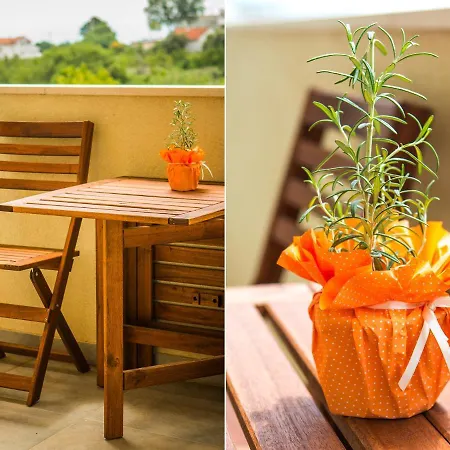 Olive Tree Apartamento *